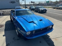 1973 Ford Mustang Mach 1 for sale in Riverhead, New York (ID-127734)