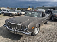 1973 Ford Ranchero for sale in Michigan (ID-116897)