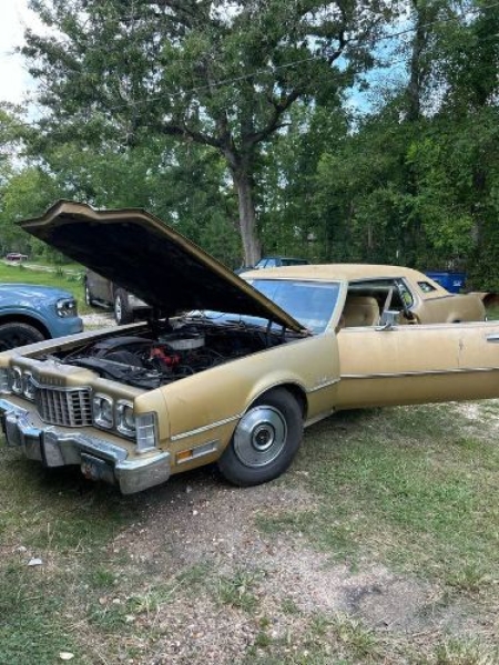 1973 Ford Thunderbird for sale in Michigan (ID-132904)