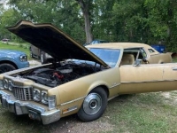 1973 Ford Thunderbird for sale in Michigan (ID-132904)