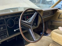 1973 Ford Thunderbird for sale in Michigan (ID-132904)