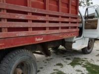 1973 GMC Truck for sale (ID-99234)