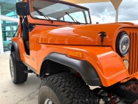 1973 Jeep CJ-5 for sale in Riverhead, New York (ID-143109)