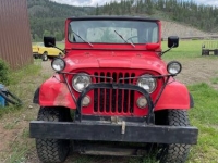 1973 Jeep CJ5 for sale in Michigan (ID-117019)