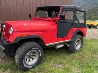 1973 Jeep CJ5 for sale in Michigan (ID-117019)