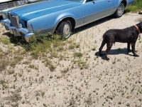1973 Lincoln Mark IV for sale in Michigan (ID-143190)