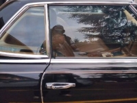 1973 Mercedes-Benz 450 SL for sale in Michigan (ID-145605)