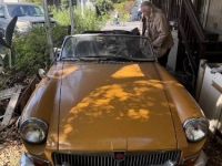 1973 MG Midget for sale in Michigan (ID-161914)