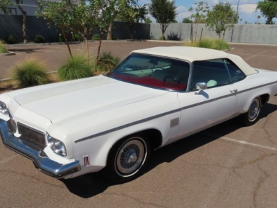 1973 Oldsmobile Delta 88 for sale