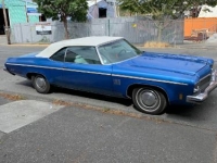 1973 Oldsmobile Dynamic 88 for sale in Michigan (ID-121683)