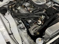 1973 Plymouth Duster for sale in Michigan (ID-110438)