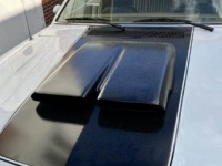 1973 Plymouth Duster for sale in Michigan (ID-110438)