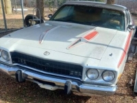 1973 Plymouth Road Runner for sale in Michigan (ID-130018)