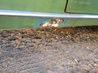 1973 Plymouth Valiant for sale in Michigan (ID-137064)