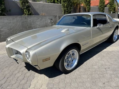 1973 Pontiac Firebird for sale