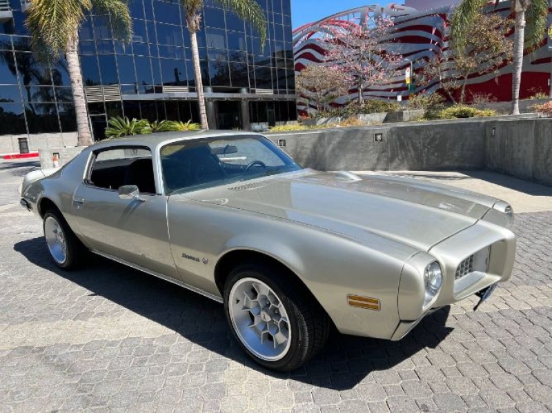1973 Pontiac Firebird for sale in Michigan (ID-110077)