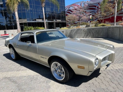 1973 Pontiac Firebird for sale