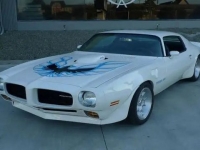 1973 Pontiac Firebird for sale in Anaheim, California (ID-125927)