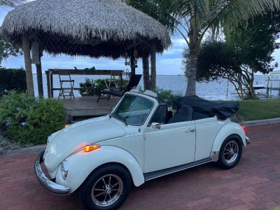 1973 Volkswagen Beetle for sale