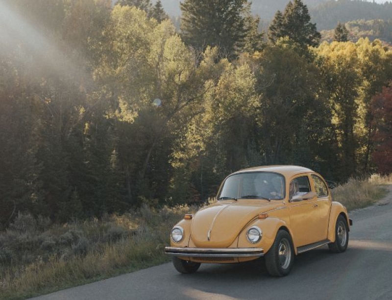 1973 Volkswagen Beetle for sale in Michigan (ID-155585)