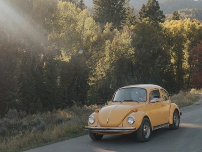 1973 Volkswagen Beetle for sale