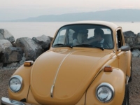 1973 Volkswagen Beetle for sale in Michigan (ID-155585)