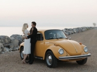 1973 Volkswagen Beetle for sale in Michigan (ID-155585)