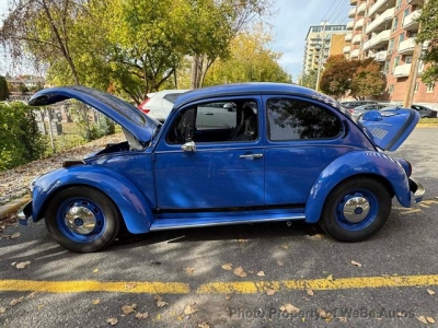 1973 Volkswagen Beetle for sale
