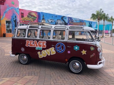 1973 Volkswagen Bus for sale