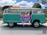 1973 Volkswagen Bus for sale in Michigan (ID-162196)