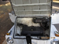 1973 Volkswagen Thing for sale in Michigan (ID-117057)