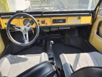 1973 Volkswagen Thing for sale in Michigan (ID-120693)