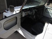1973 Volkswagen Thing for sale in Michigan (ID-145809)