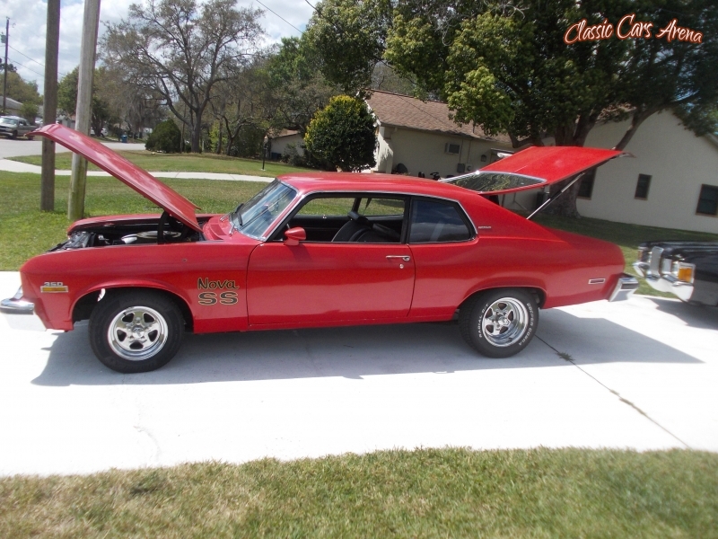 1974 Chevrolet Nova for sale in   Southwest, Florida (ID-78420)