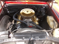 1974 Chevrolet Nova for sale in   Southwest, Florida (ID-78420)
