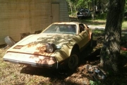 1974 Bricklin SV1 for sale
