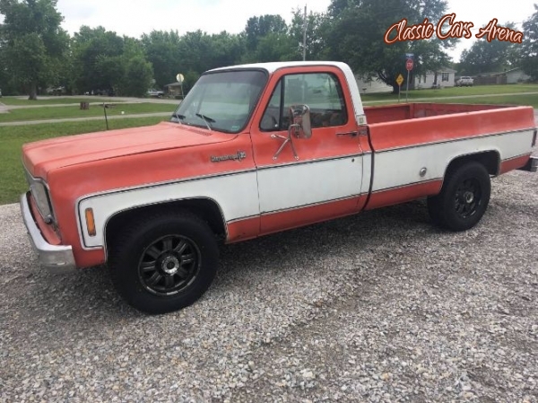 1974 Chevrolet C20 for sale in Michigan (ID-60313)