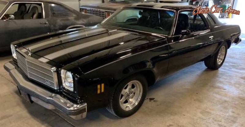 1974 Chevrolet Chevelle for sale in Michigan (ID-73655)