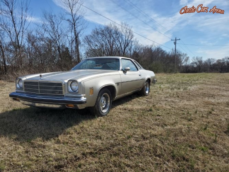 1974 Chevrolet Malibu for sale in Michigan (ID-78009)