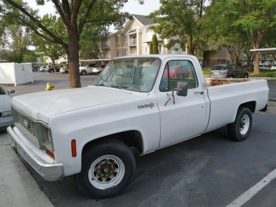 1974 Chevrolet C20 for sale