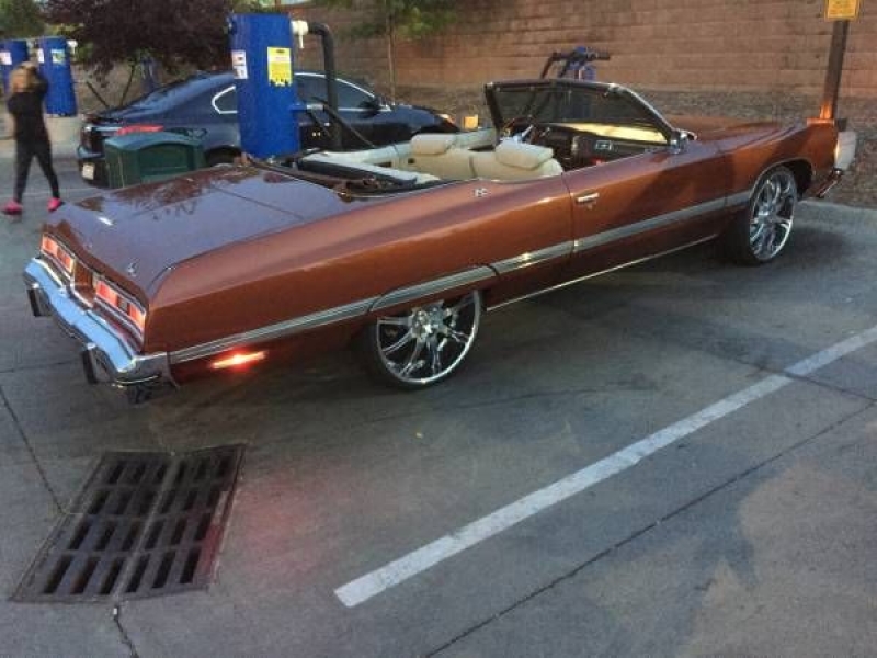 1974 Chevrolet Caprice for sale in Michigan (ID-91563)