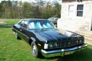 1974 Ford Torino for sale