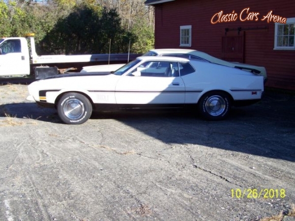 1974 Ford Mustang for sale in Michigan (ID-44801)