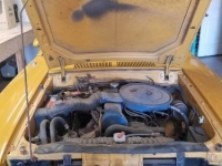 1974 Ford Pinto for sale in Michigan (ID-90627)