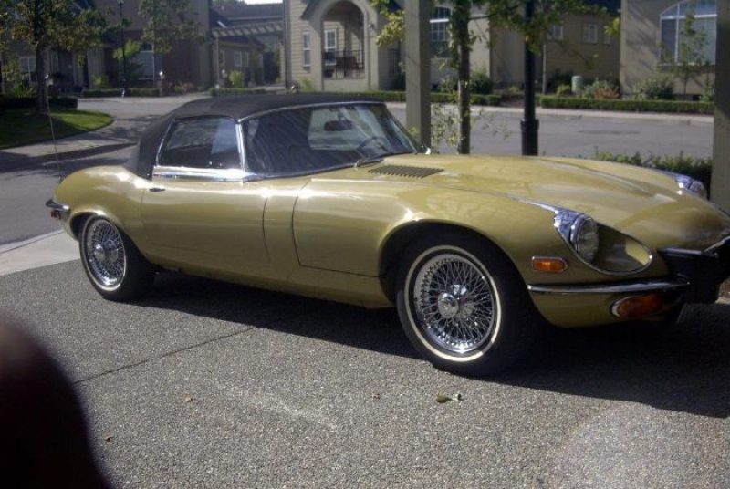 1974 Jaguar E-Type for sale in Michigan (ID-87846)