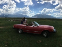 1974 Mercedes Benz 450 SL for sale in Colorado (ID-84597)