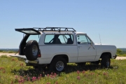 1974 Plymouth Trail Duster for sale