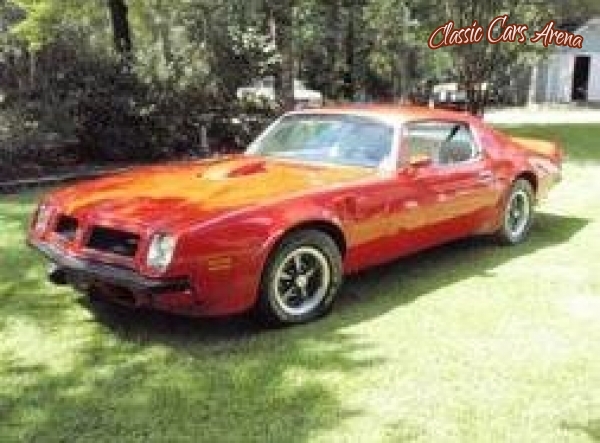 1974 Pontiac Trans Am for sale in Michigan (ID-14442)