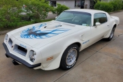 1974 Pontiac Trans Am for sale