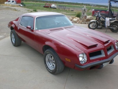 1974 Pontiac Firebird for sale